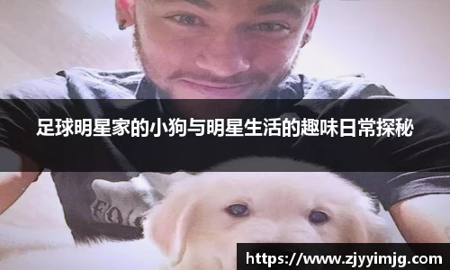 完美体育登录入口